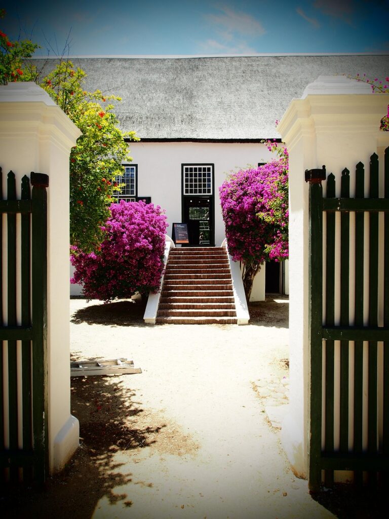 south africa, winery, stairs to the house, estate, winelands, thatched roof, bougainville, entrance, groot constantia, south africa, winery, winery, winery, estate, estate, estate, estate, estate, winelands, winelands, bougainville, bougainville, groot constantia